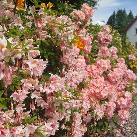 Bed and Breakfast Torbeag House Fort William Esterno foto