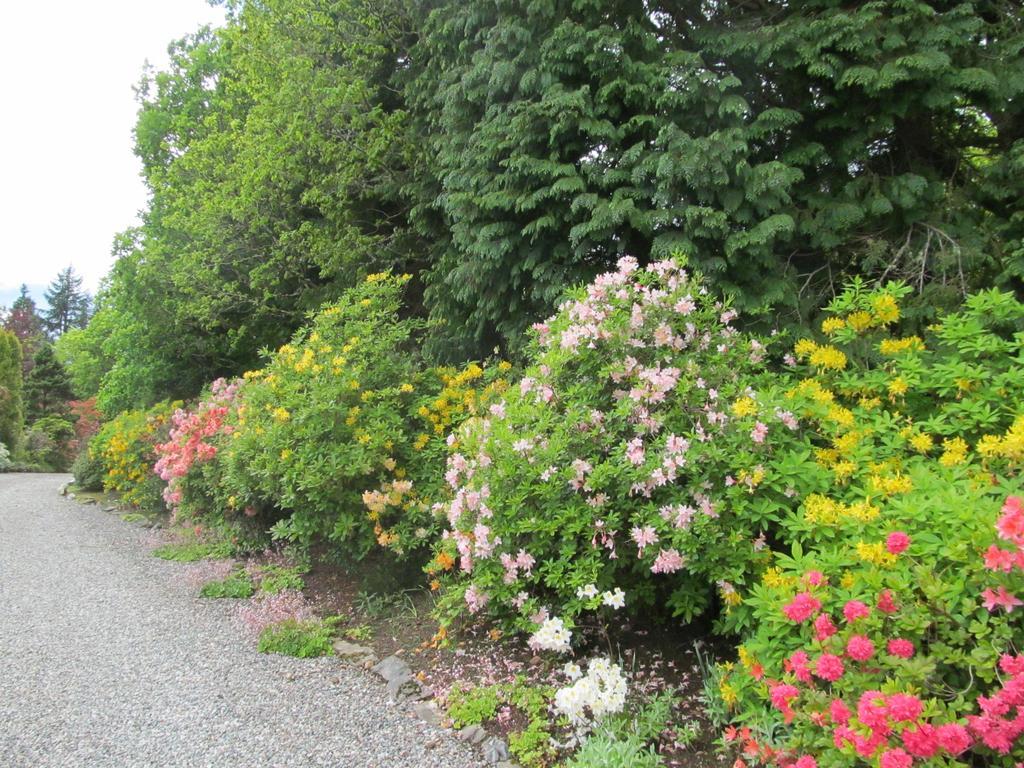 Bed and Breakfast Torbeag House Fort William Esterno foto